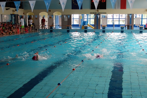 pDSC_0118_tn