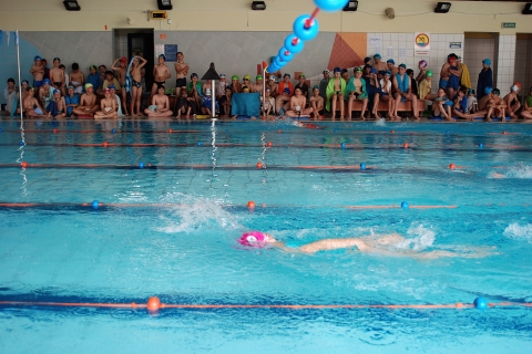 pDSC_0121_tn