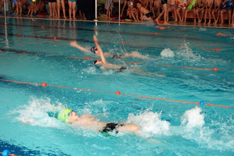 pDSC_0134_tn